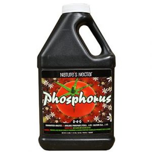Nectar Phosphore de la Nature 0-4-0 Dérivé de chauve-souris guano. Utilisez 2 1/2 cuillères à café par gallon d'eau. L'analyse minimale garantie est disponible Phosphate (P205) 4,0% et calcium (Ca) 1,4%. Nature's Nectar ™ Phosphorus est une so