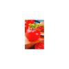 Nom du produit: Tomate - rouge Nom latin: Solanum lycopersicum Description variété: Une belle grosse tomate côtelée bien en chair, goûteuse et juteuse. Parfaite pour les sandwichs, les salades et les coulis. Port plant: Déterminé Maturité (jours):