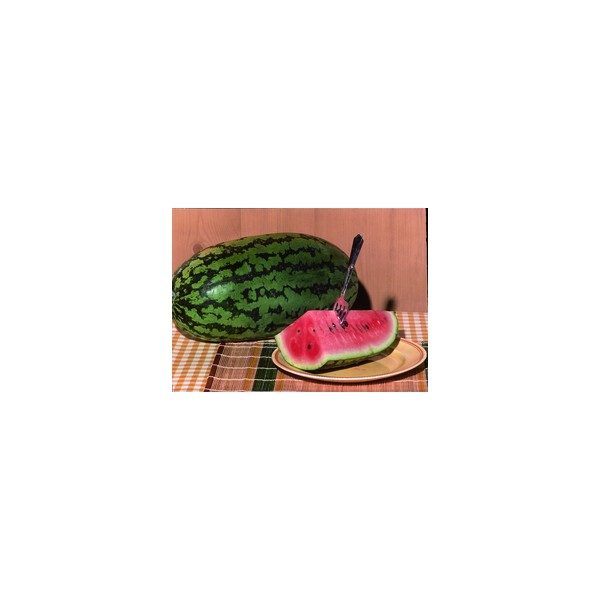 Nom du produit: Melon - Miel Nom latin: Cucumis melo Description variété: Voici un melon hâtif qui produit de beaux gros fruits lourds. De forme ronde, sa peau est lisse et sa chair parfumée est d'un beau vert lime. Maturité (jours): 75 Forme Fruit