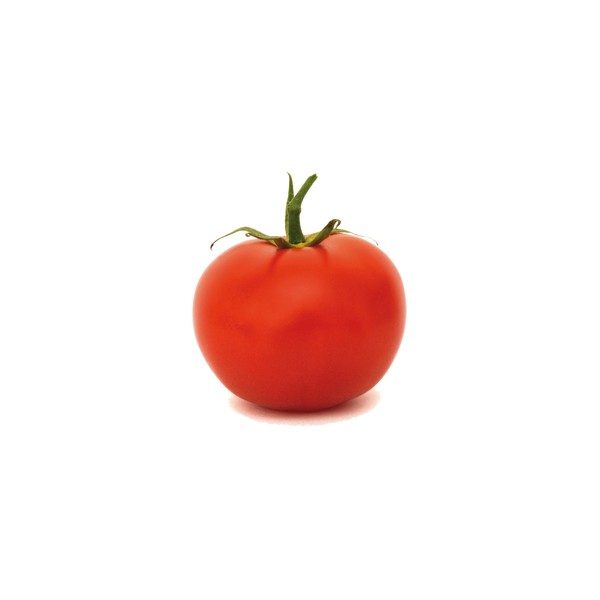 Nom du produit: Tomate - rouge Nom latin: Solanum lycopersicum Description variété: JARDINIER URBAIN. De belles tomates sur un petit plant compact de seulement 45 cm de hauteur. Semer vers la mi-février pour une mise à fruit dès juin. Collection patio.