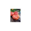 Nom du produit: Tomate - rouge Nom latin: Solanum lycopersicum Description variété: Genuwine remplace la variété Brandywine et atteint sa maturité jusqu’à 2 semaines plus vite! Il s’agit d’un croisement entre deux variétés ancestrales (dont Brandywine),