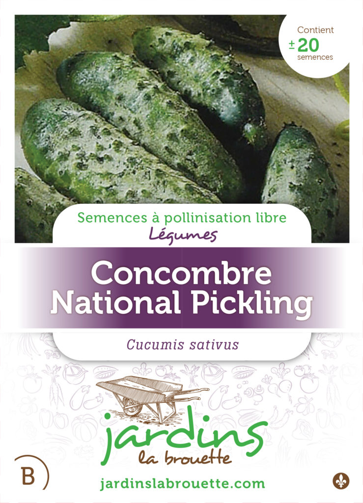 Semences F.T. - Cornichon National Pickling - Centre Jardin Lac